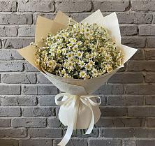 Букет цветов из:  Ромашки #REPLACE_PRED# Выездное