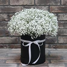 Цветочная композиция из Гипсофила в шляпной коробке #REPLACE_PRED# Выездное